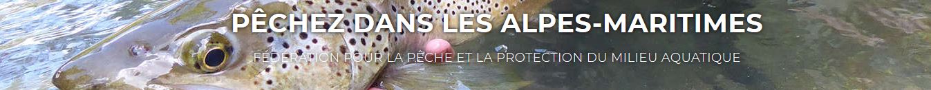Bandeau Peche