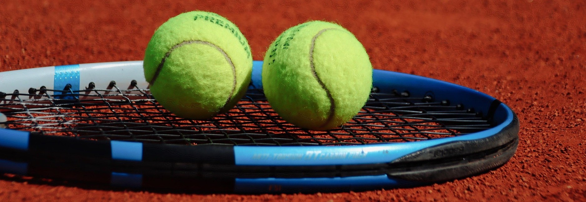 Planet Fox Tennis 7137975 1920